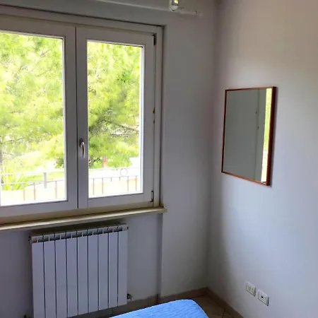 S176 Nuovo Bilocale Con Terrazzo Sx *